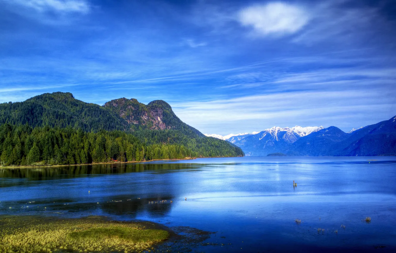 Photo wallpaper forest, the sky, trees, mountains, lake, blue, shore, duck