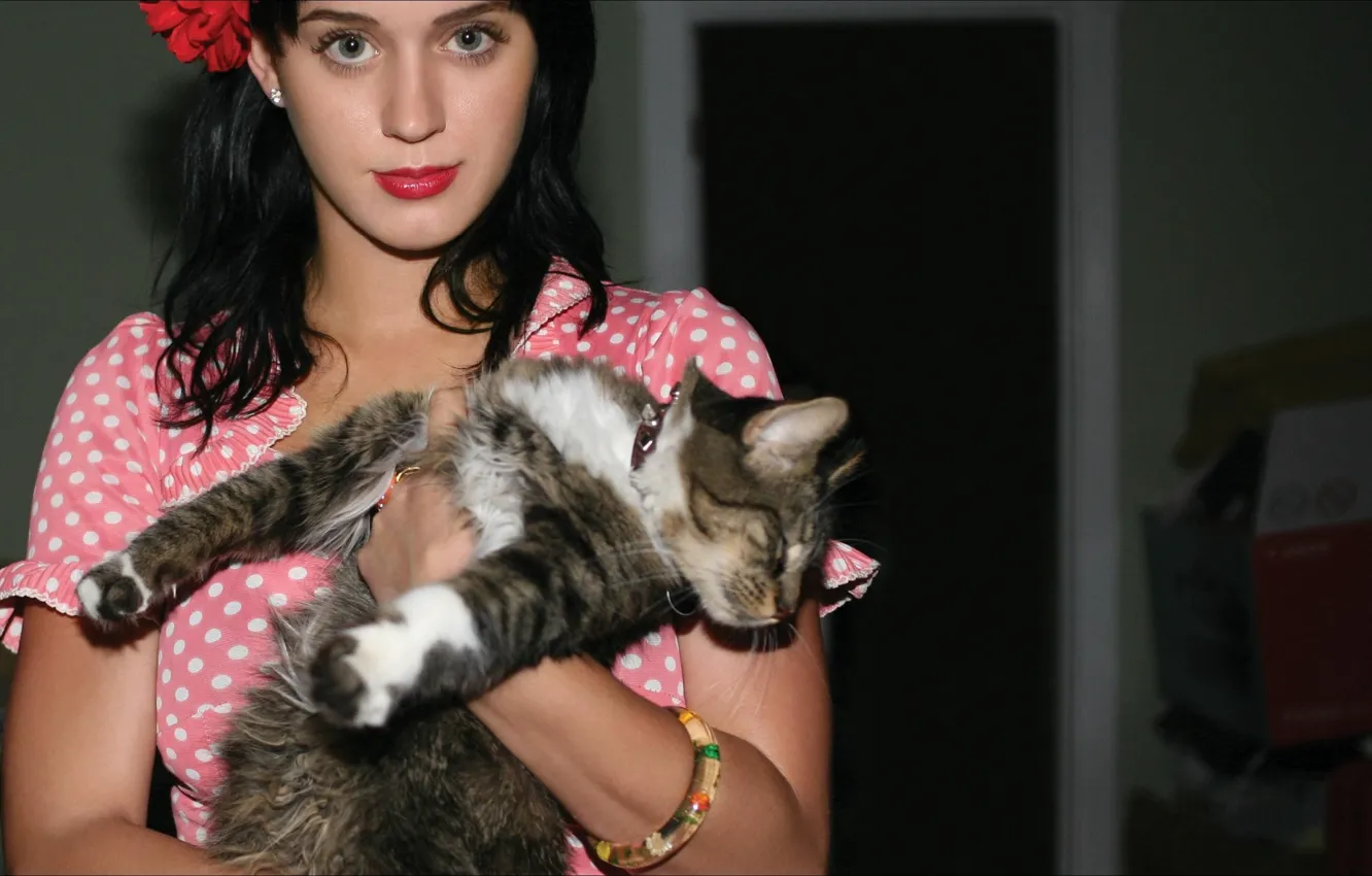 Photo wallpaper Katy Perry, Cats, other