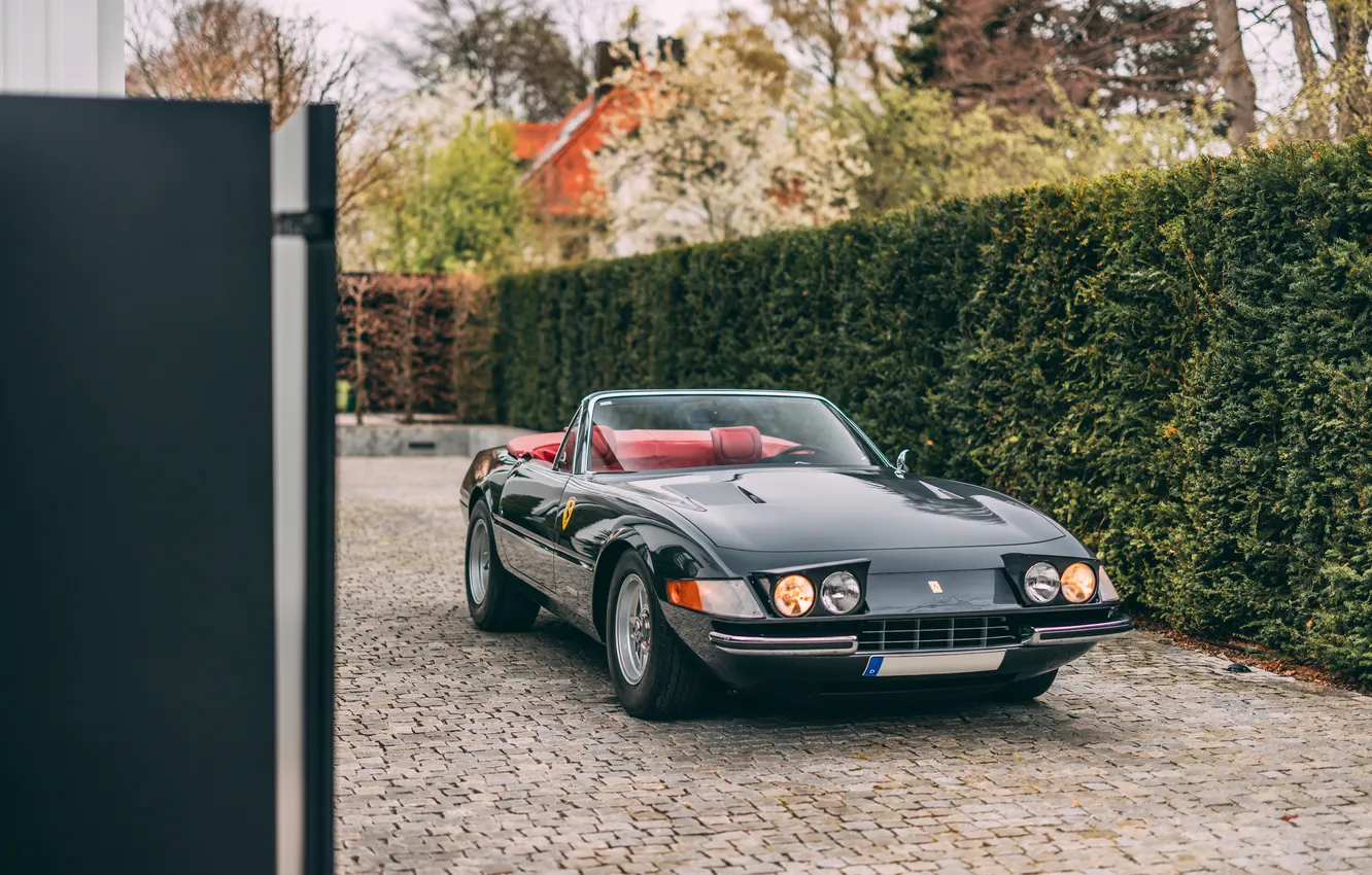 Wallpaper Ferrari, 365, 1972, Ferrari 365 GTS/4 Daytona for mobile and ...