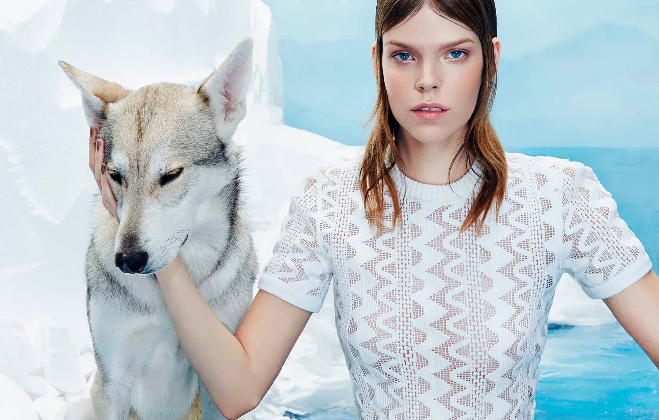 Photo wallpaper model, dog, photoshoot, 2015, Numero, Meghan Collison-1