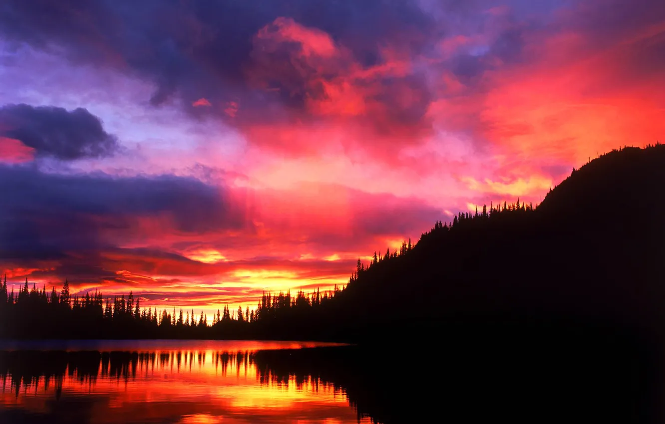 Photo wallpaper forest, the sky, clouds, trees, sunset, lake, reflection, silhouette