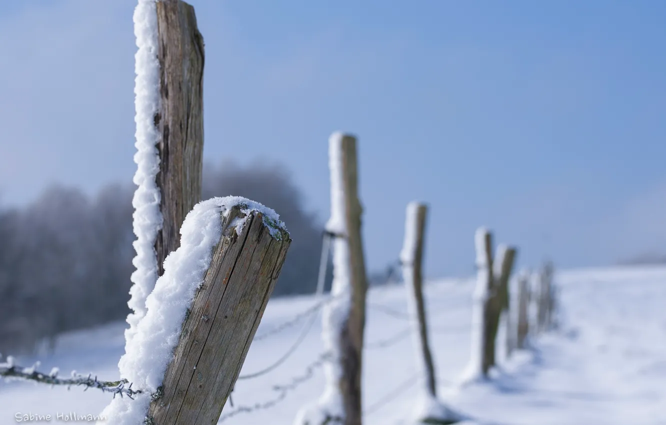 Photo wallpaper winter, snow, close-up, the fence, fence, barbed wire