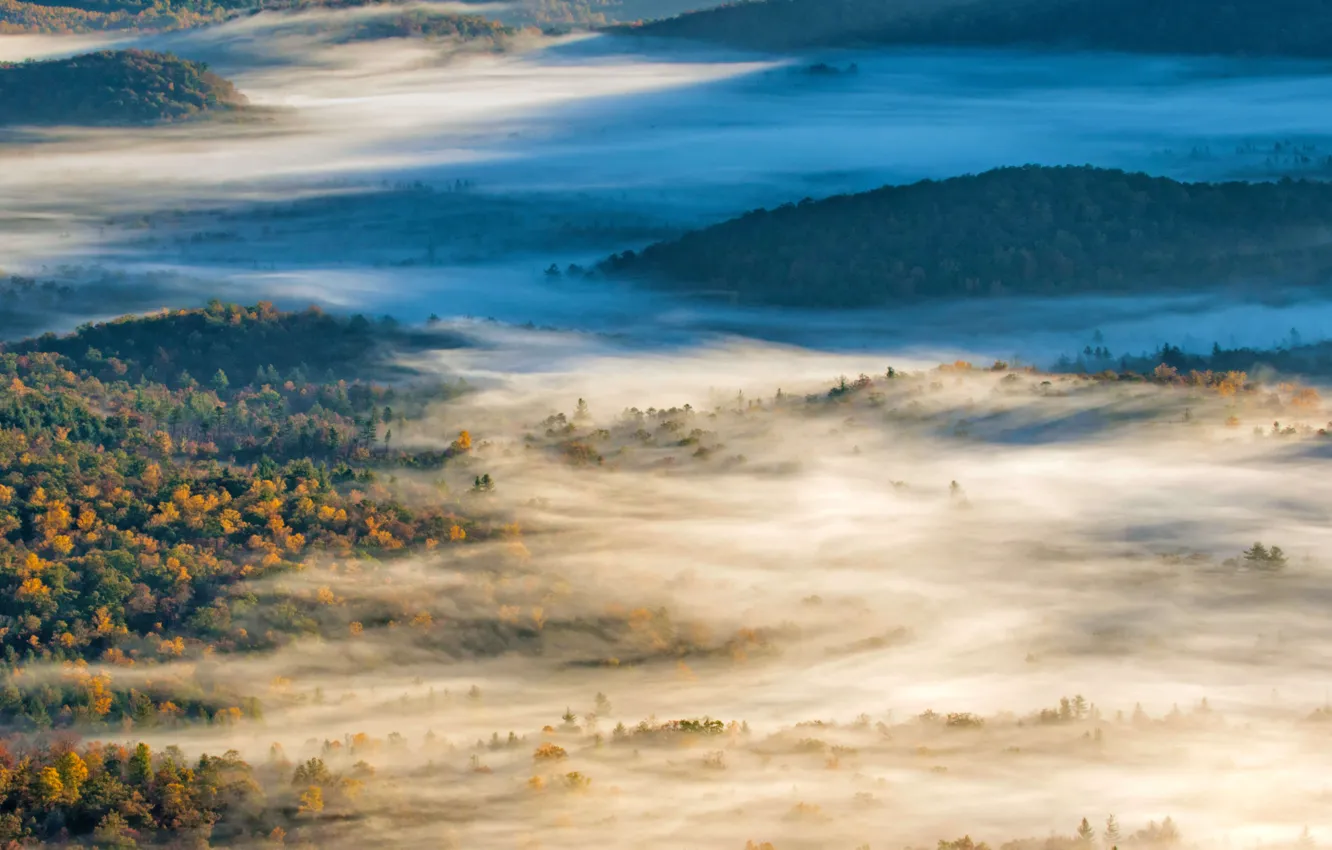 Photo wallpaper autumn, fog, hills, USA, North Carolina