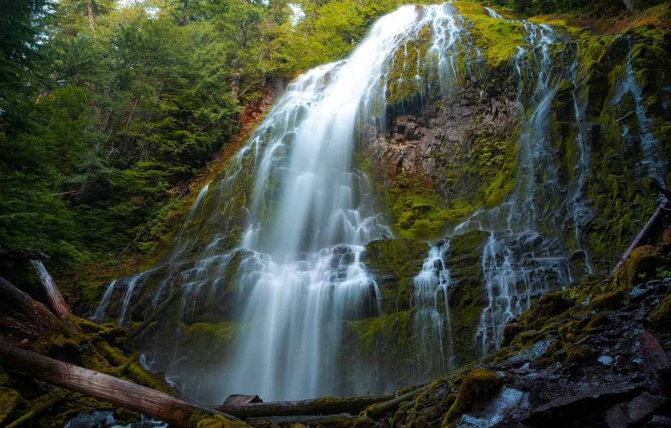 Photo wallpaper rocks, vegetation, waterfall