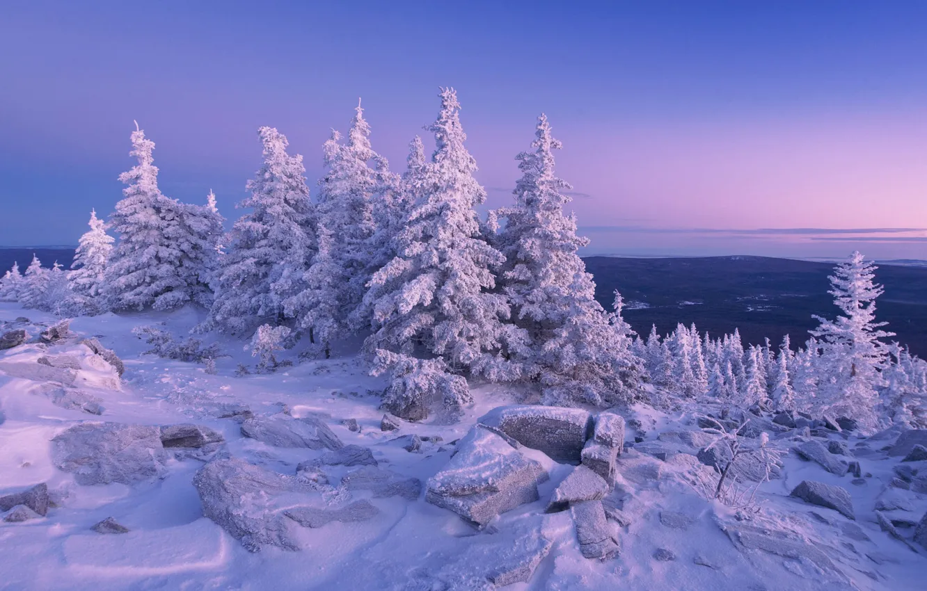 Photo wallpaper winter, frost, forest, the sky, snow, mountains, stones, view