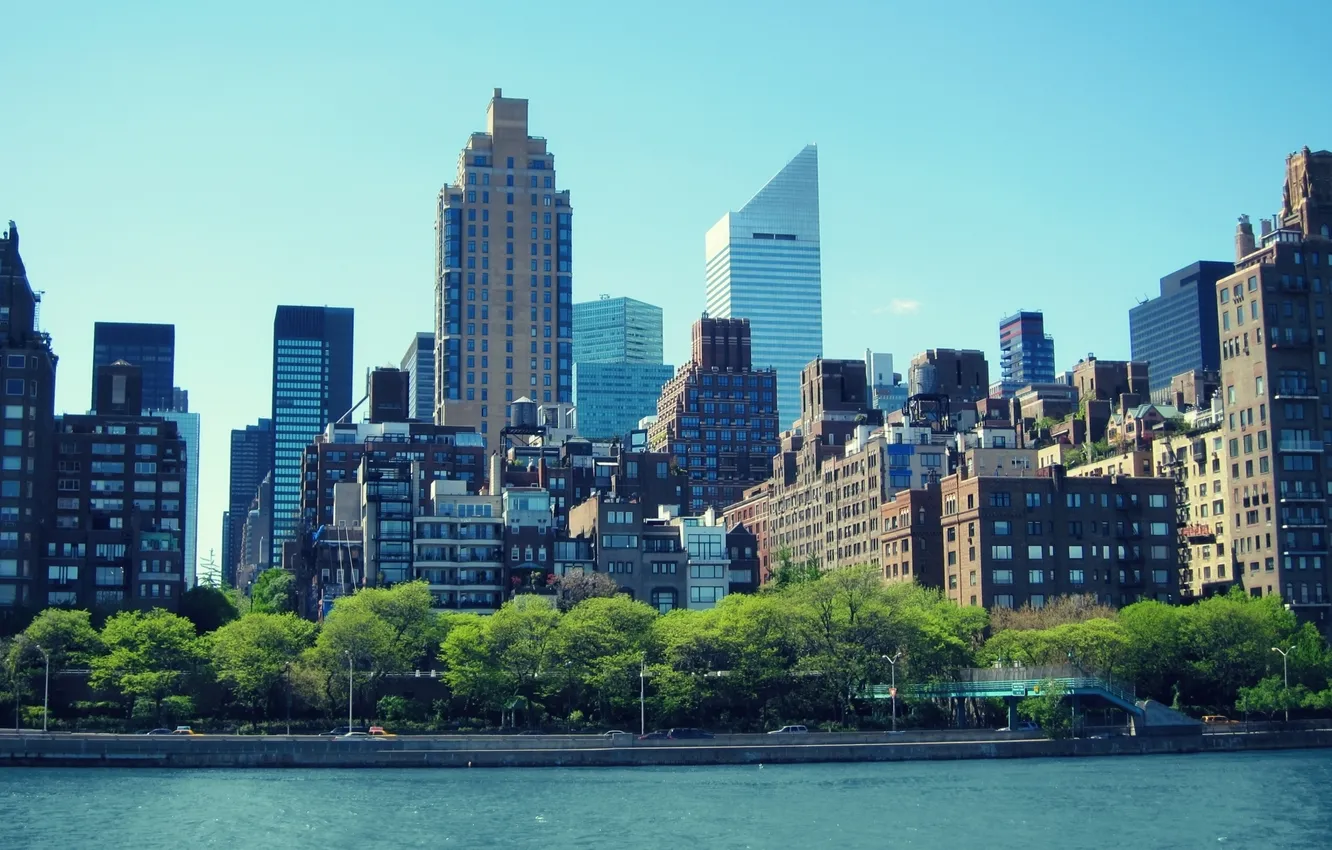 Photo wallpaper trees, the city, building, river