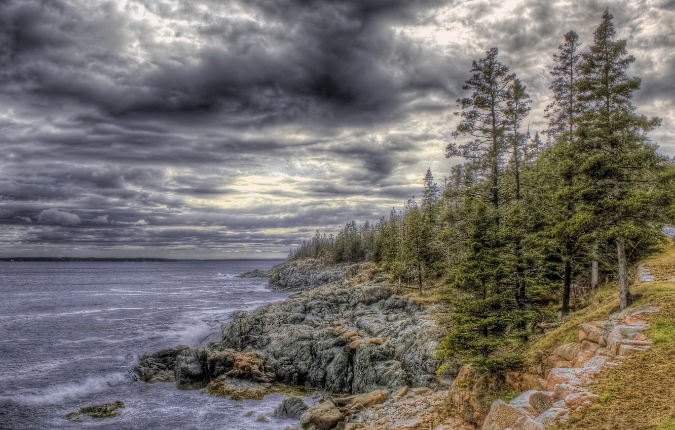 Photo wallpaper forest, the sky, trees, clouds, lake, stones, rocks