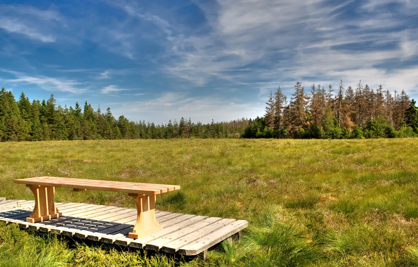 Photo wallpaper field, clouds, trees, shop