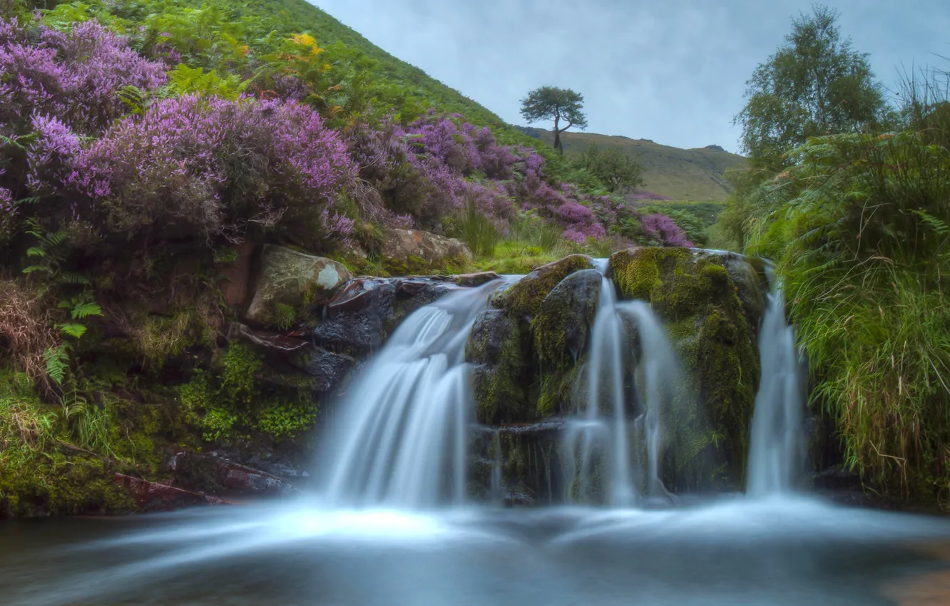Photo wallpaper hills, England, waterfall, cascade, England, Heather, Peak District, The Peak District