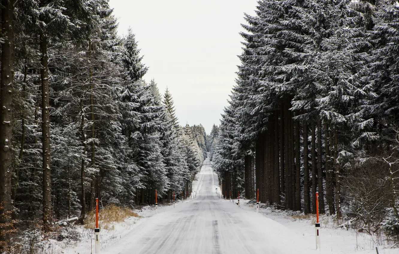 Photo wallpaper winter, road, forest