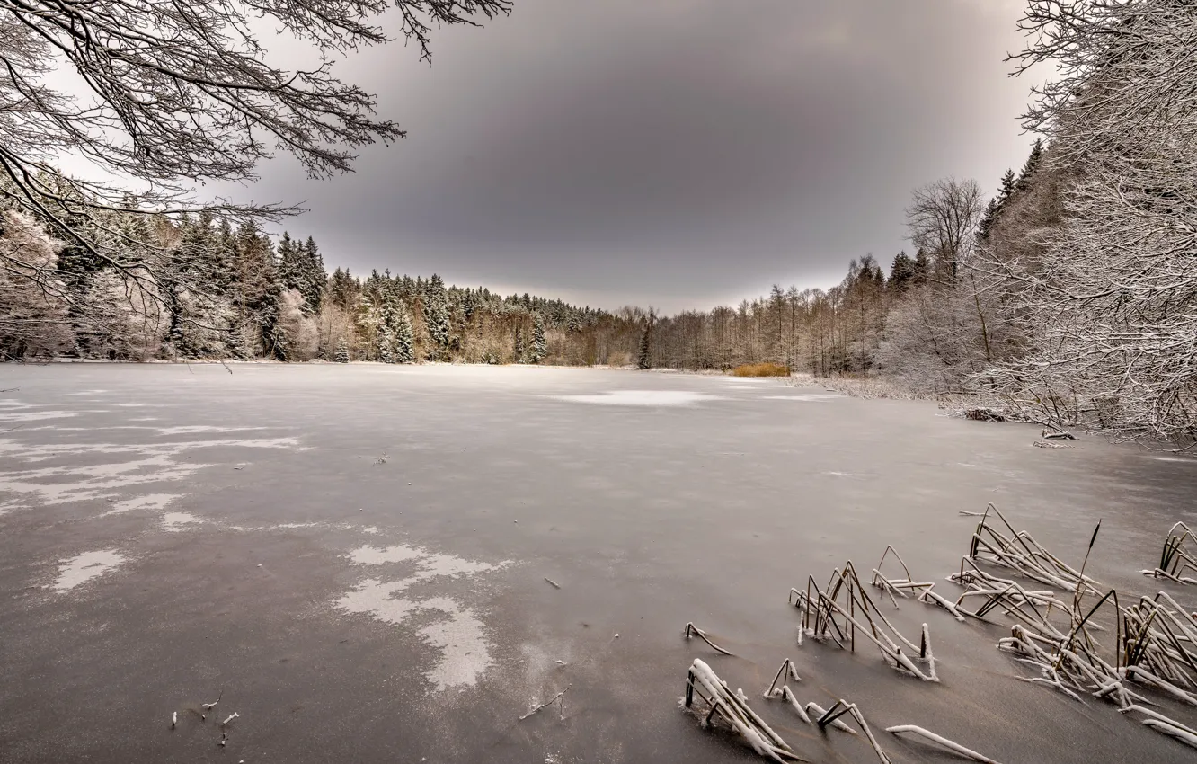 Photo wallpaper winter, forest, lake