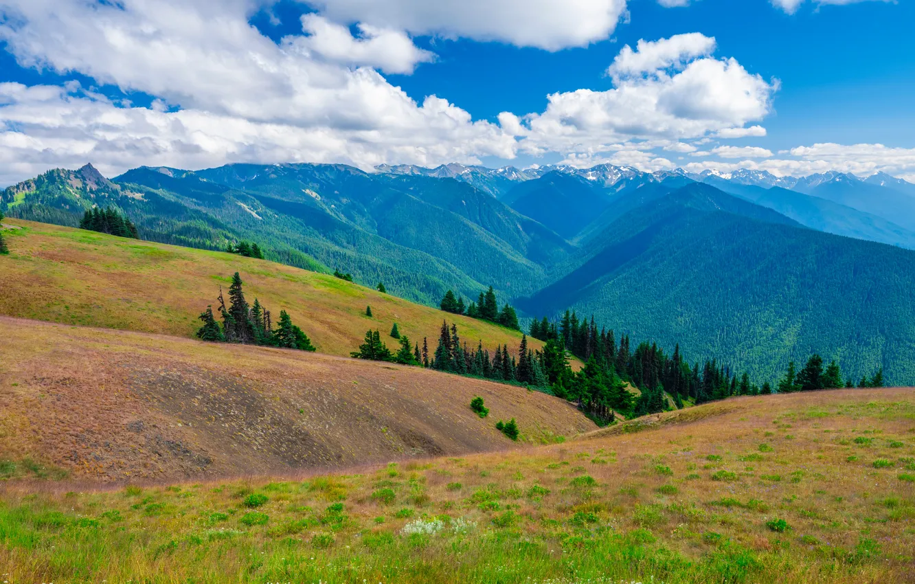 Photo wallpaper clouds, Mountains, Washington, USA, Landscape, Hurricane Ridge, Parks