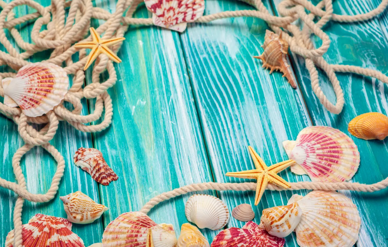 Photo wallpaper beach, summer, stars, shell, summer, beach, wood, stars