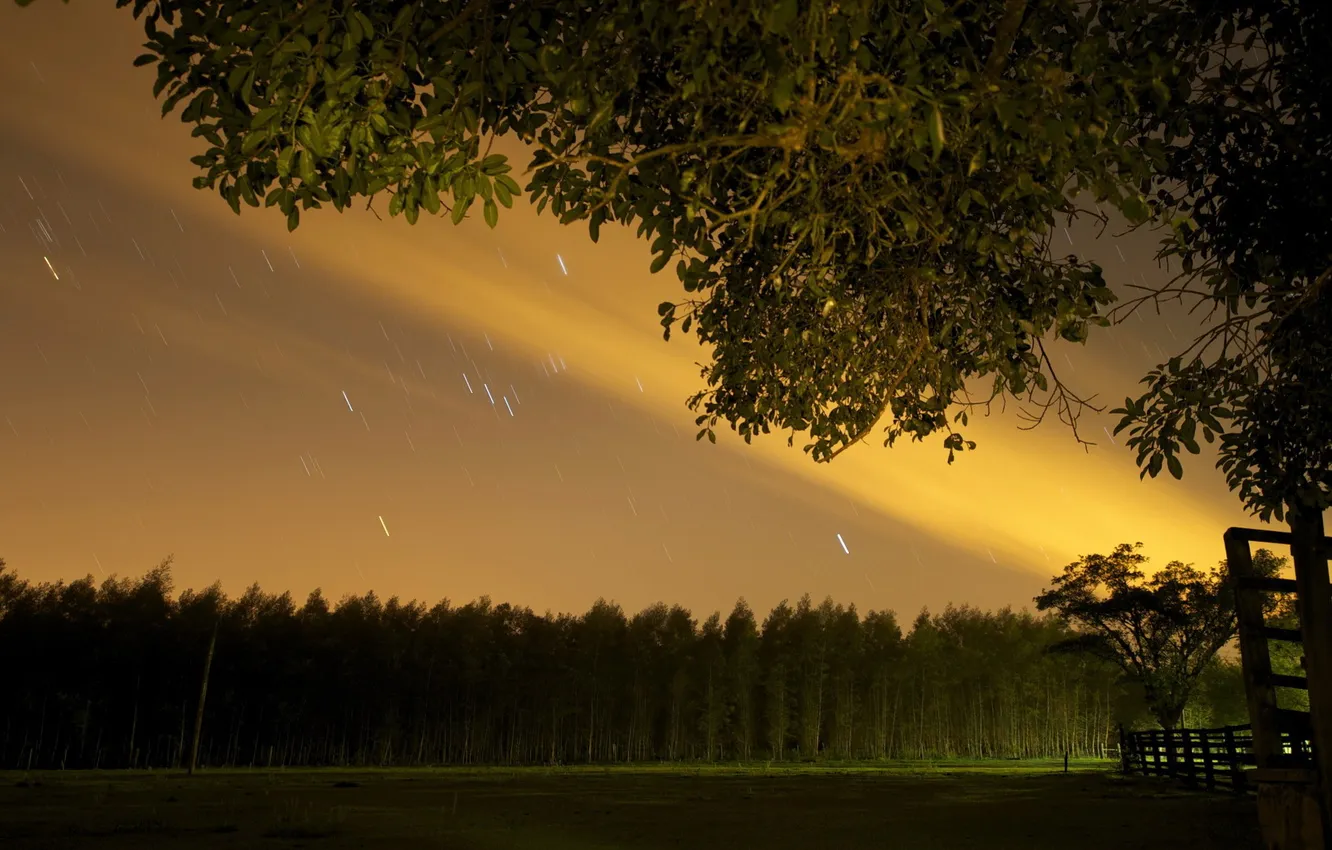 Photo wallpaper field, night, nature, rain
