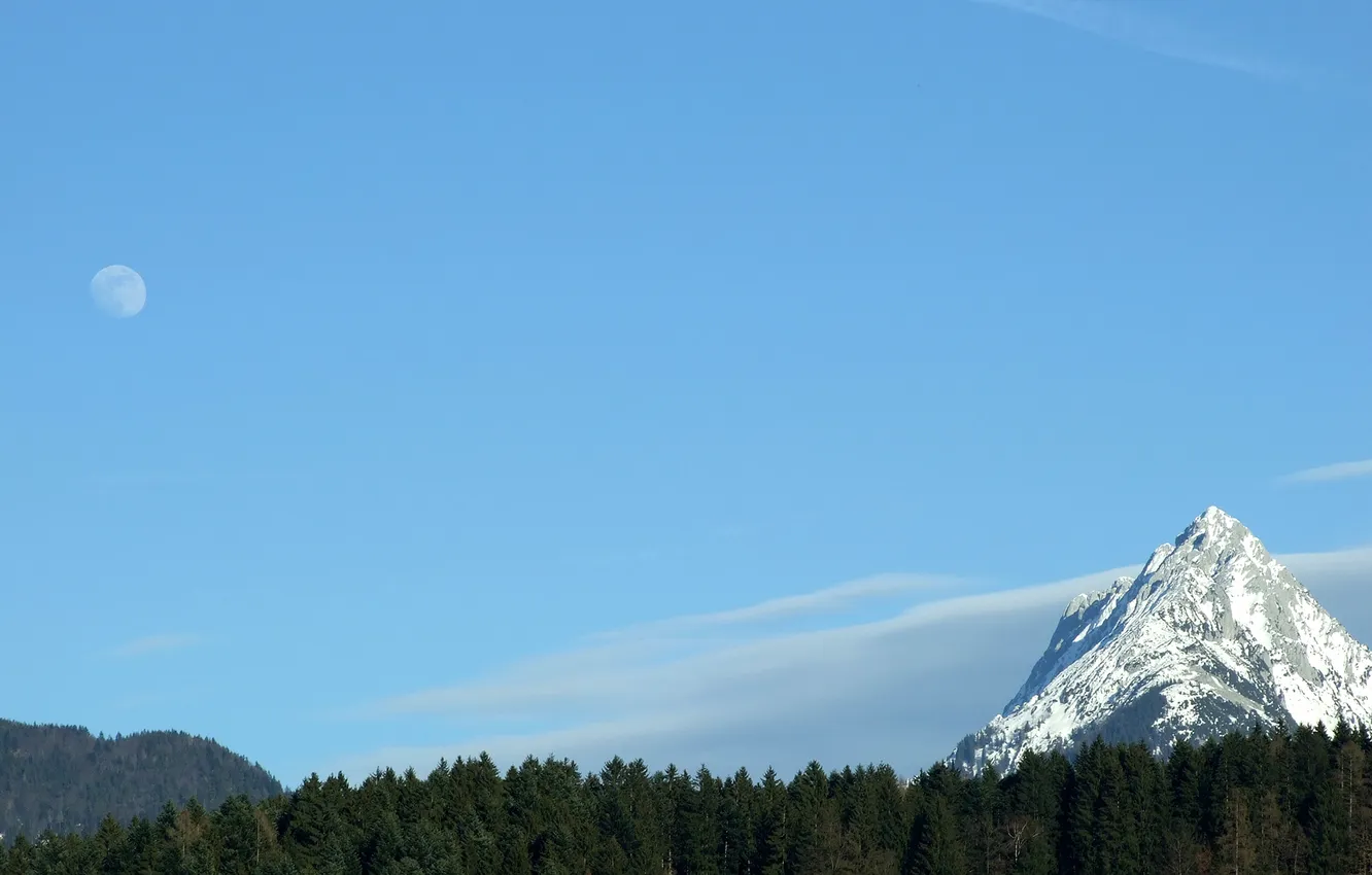 Photo wallpaper forest, the sky, trees, landscape, mountains, Wallpaper, the moon