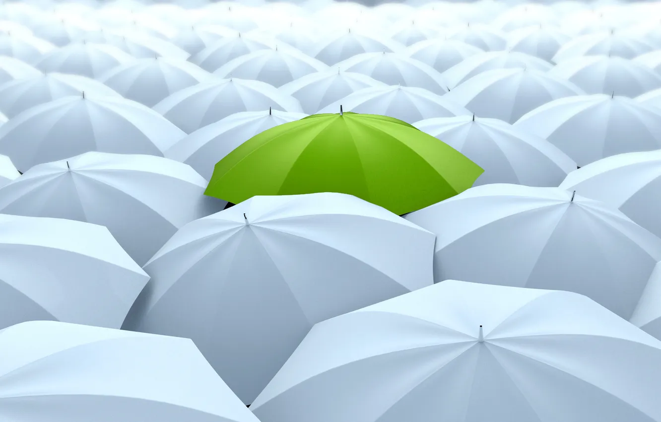 Photo wallpaper white, green, umbrella