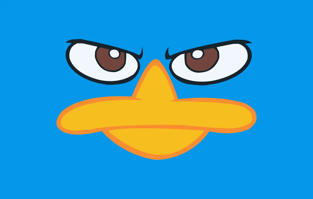 Photo wallpaper Disney, Perry, Perry, phineas and ferb, the platypus, Phineas and ferb, Disney