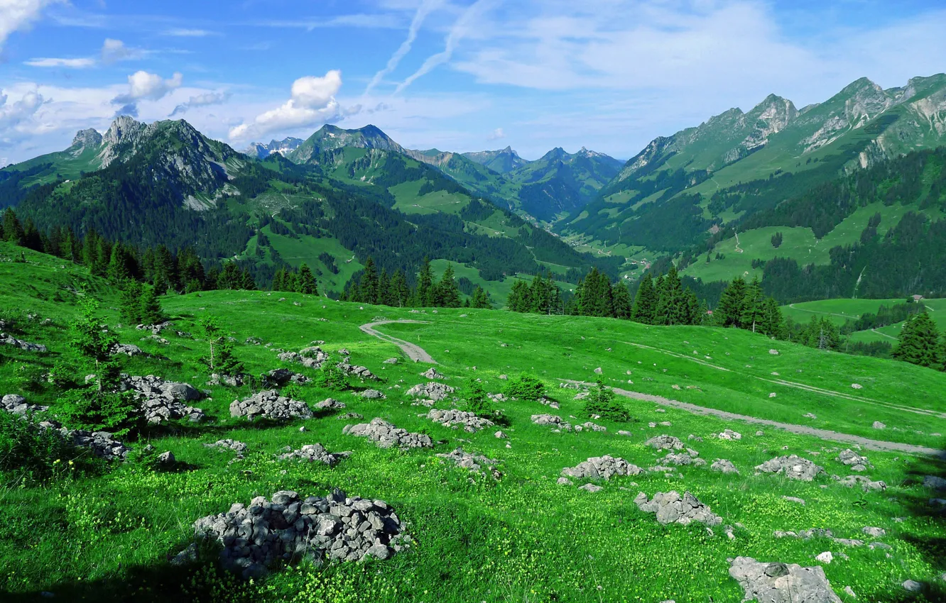 Photo wallpaper mountains, stones, meadow