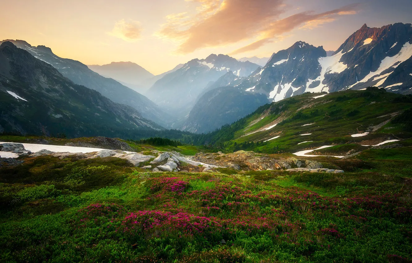 Photo wallpaper snow, flowers, mountains, tops, slope