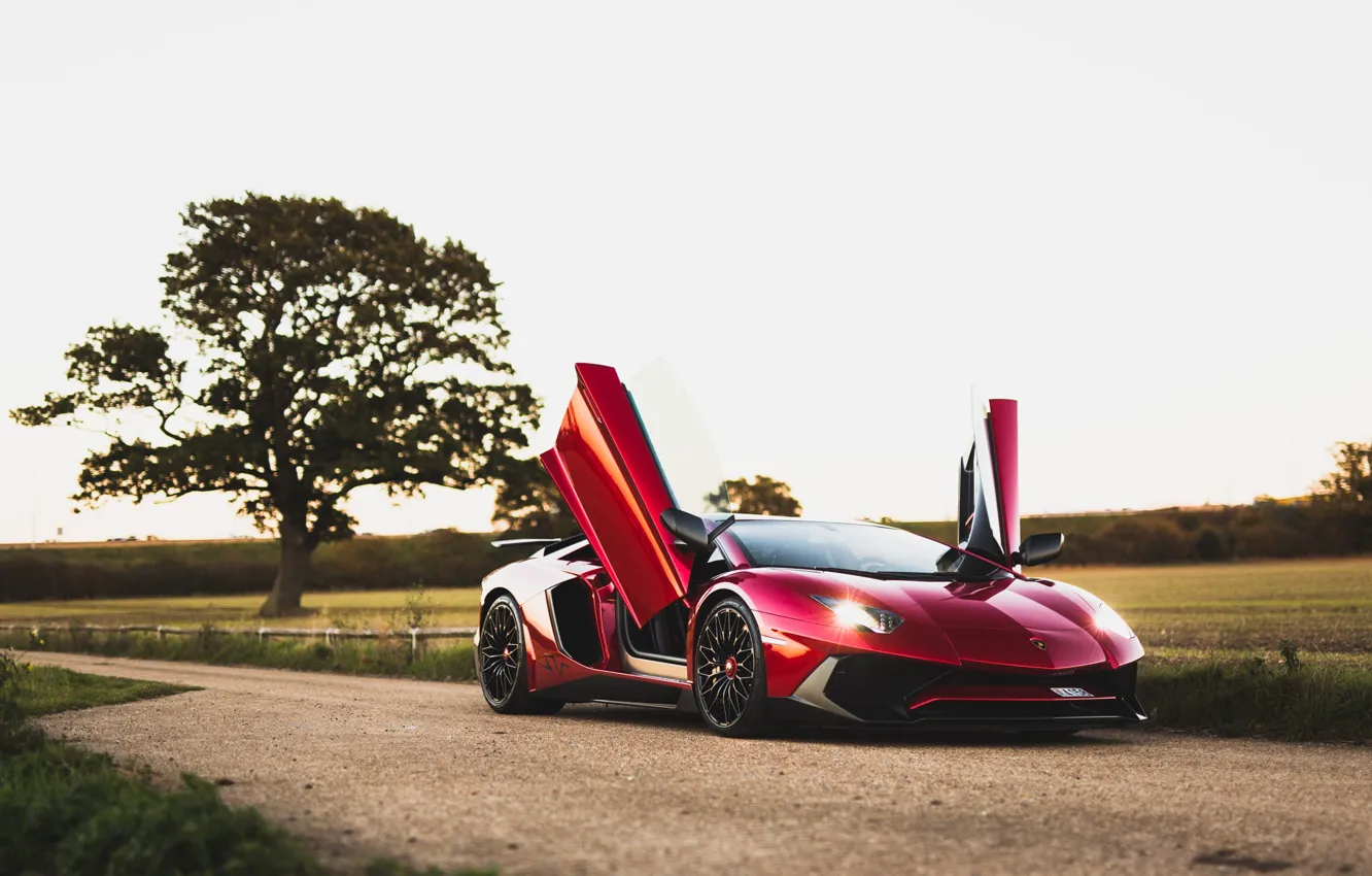 Photo wallpaper Lamborghini, Aventador, LP750-4 SV, Dark Red