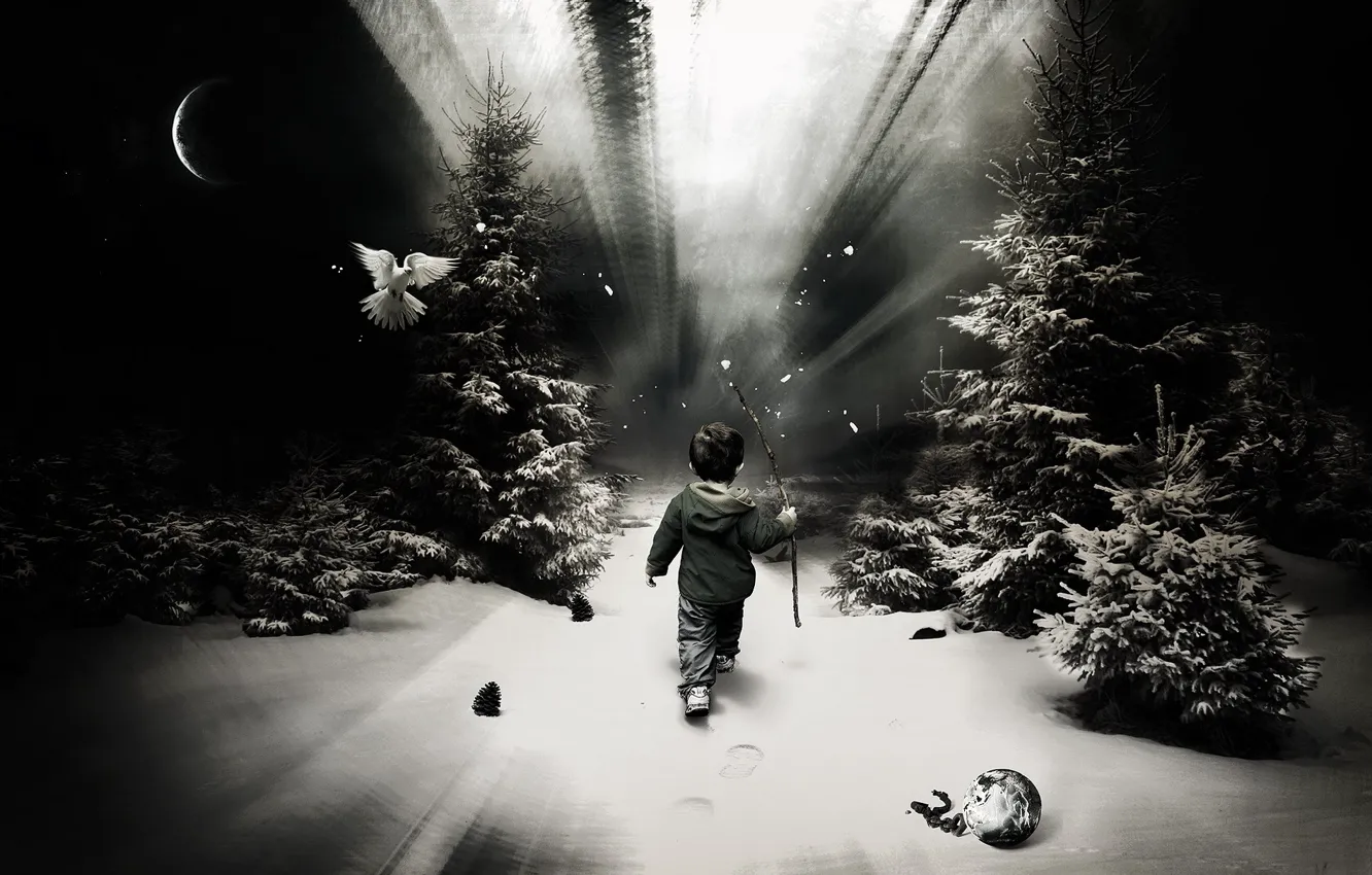 Photo wallpaper forest, snow, one, trail, boy, child