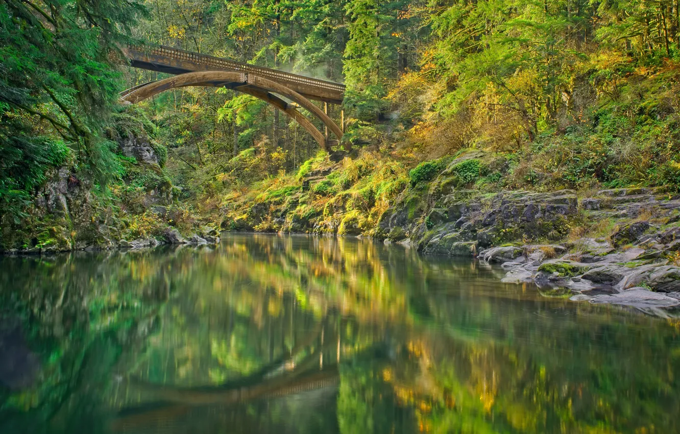 Photo wallpaper forest, bridge, river, Lewis River, Washington State, Washington, River Lewis, Moulton Falls Bridge