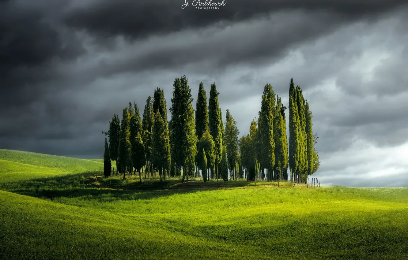 Photo wallpaper the sky, trees, Perlikowski James