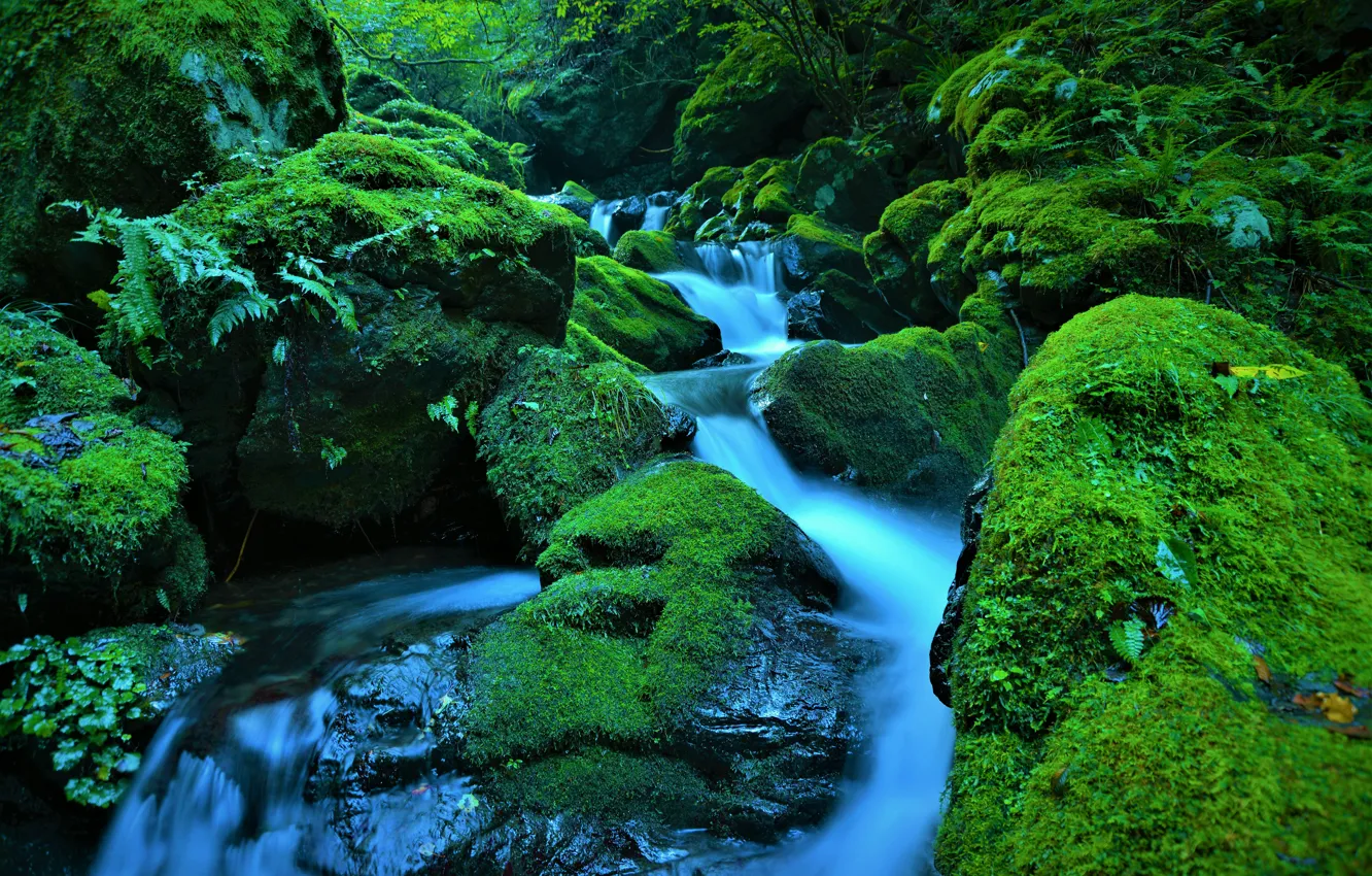 Photo wallpaper nature, stream, stones, moss, cascade