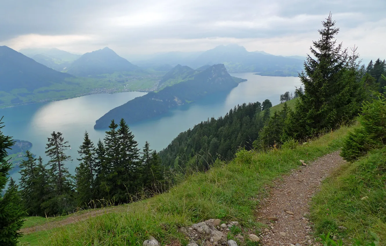 Photo wallpaper trees, mountains, river, Switzerland, panorama, path, the view from the top, Scheidegg