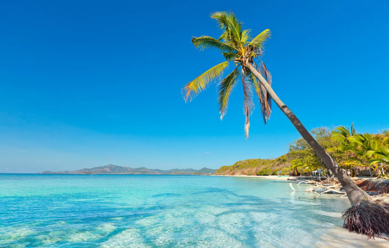 Photo wallpaper sand, sea, beach, palm trees, shore, summer, beach, sea