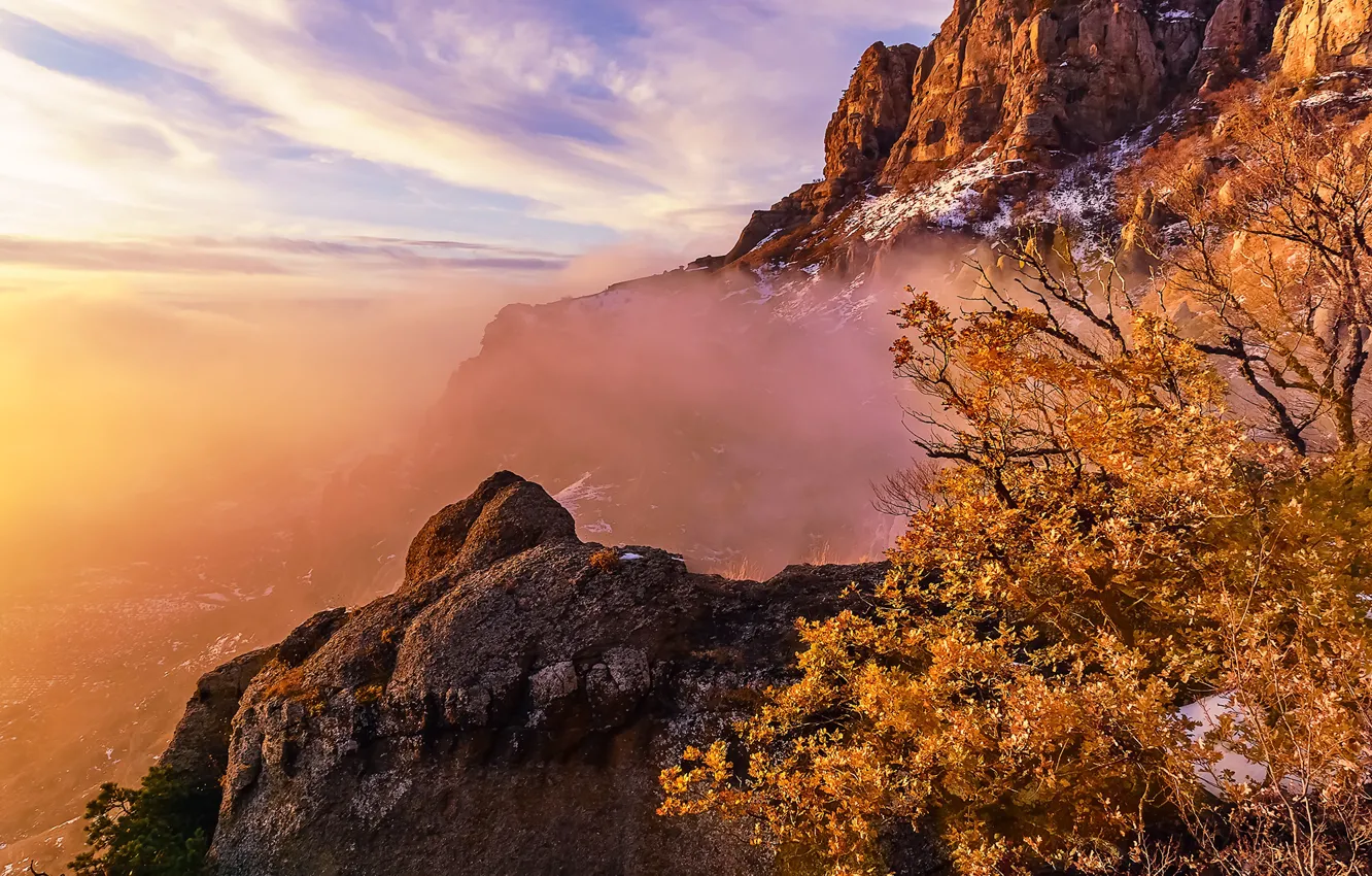 Photo wallpaper trees, mountains, fog