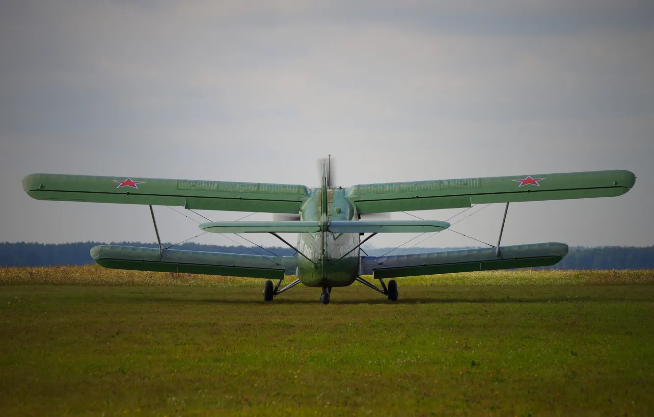 Photo wallpaper The plane, Antonov, An-2, Maize, An-2, Annushka