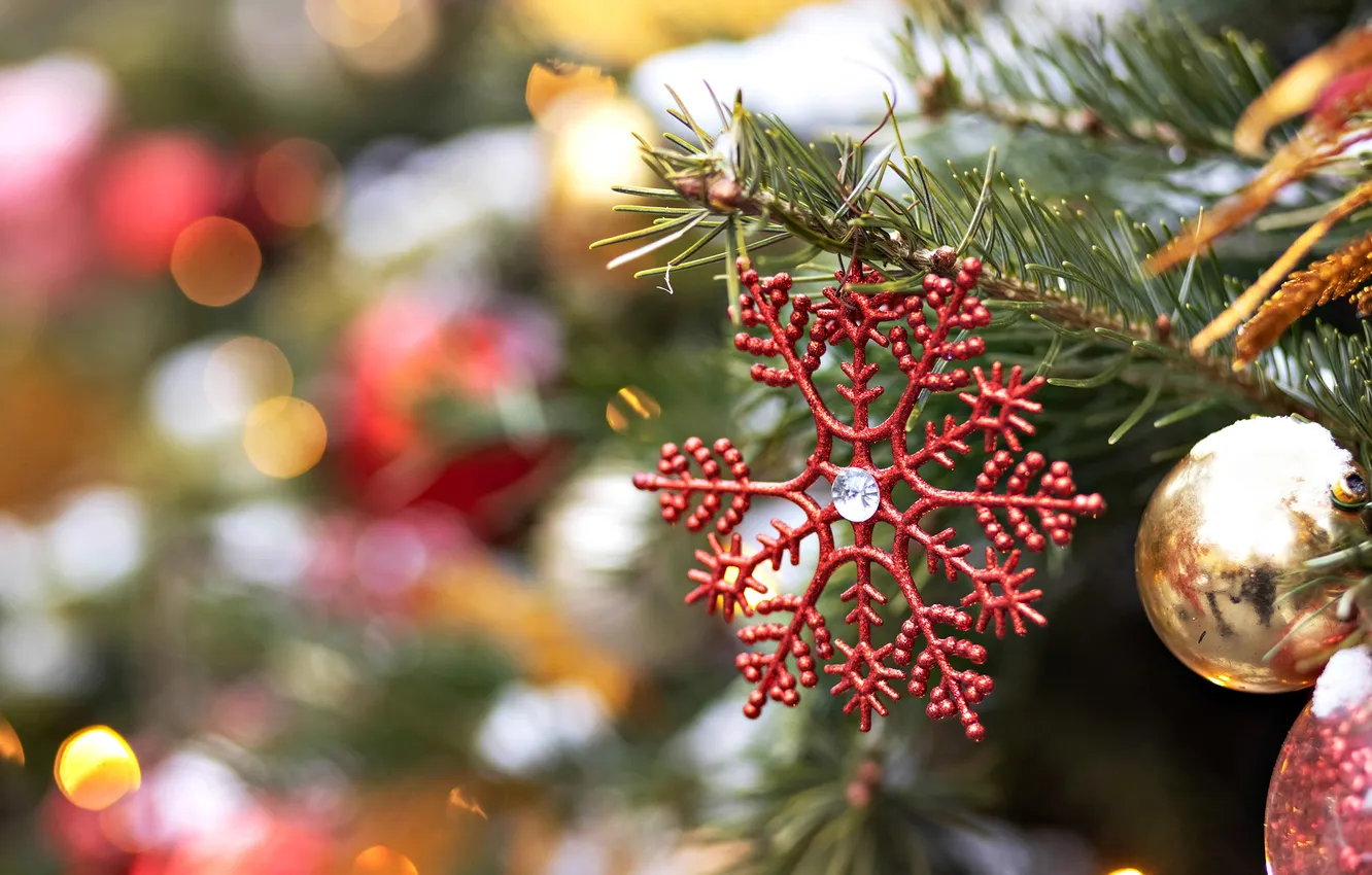 Photo wallpaper balls, snowflakes, branches, red, new year, Christmas, needles, bokeh