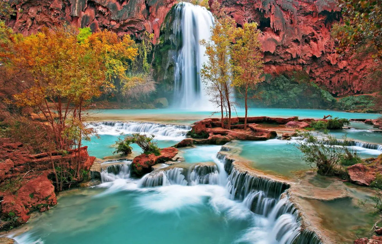 Photo wallpaper trees, waterfall