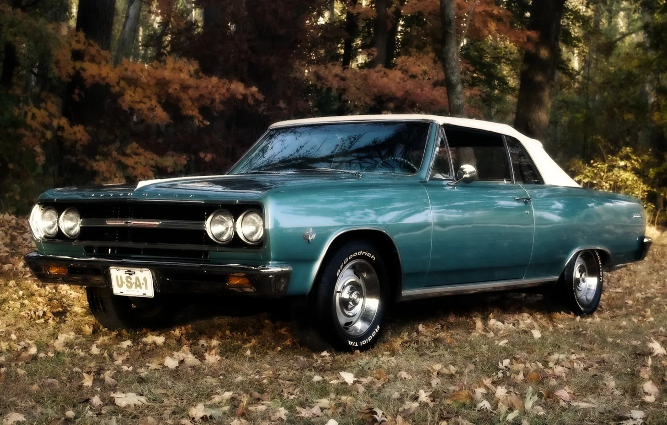 Photo wallpaper forest, leaves, Chevrolet, convertible, Chevrolet, muscle car, 1965, the front