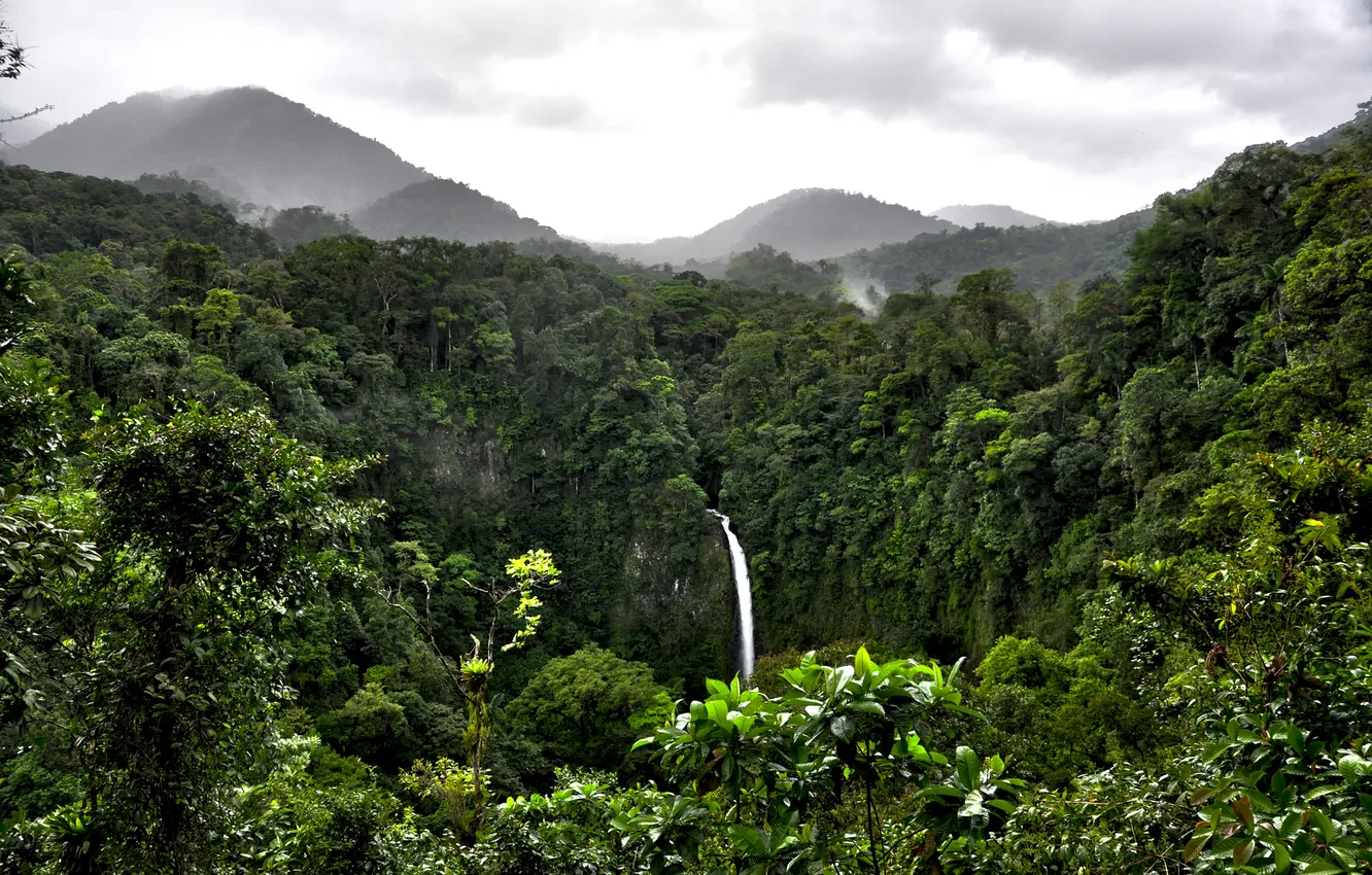 Photo wallpaper forest, clouds, mountains, waterfall, jungle