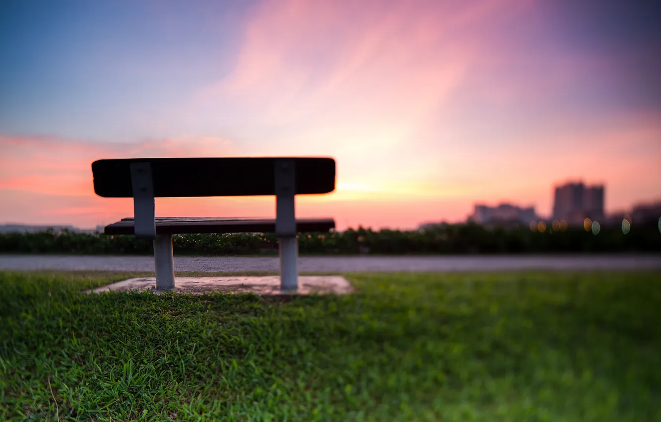 Photo wallpaper grass, sunset, bench, focus, shop