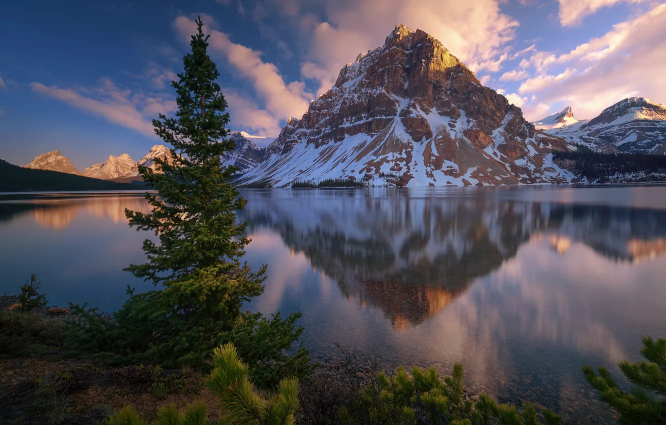 Photo wallpaper mountains, lake, Canada, Albert, Banff, Bow Lake, Bow