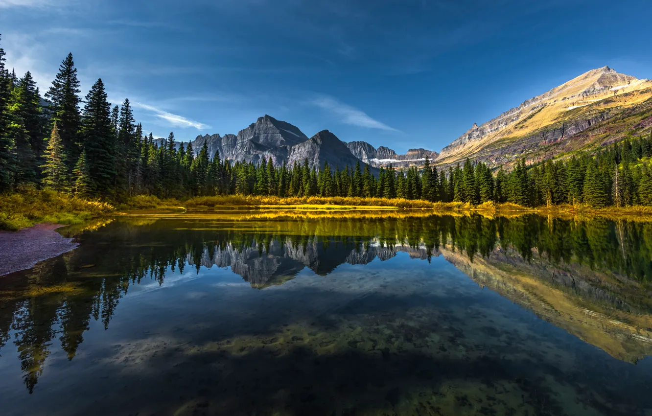 Photo wallpaper forest, mountains, lake, reflection, Montana, Glacier National Park, Rocky mountains, Montana