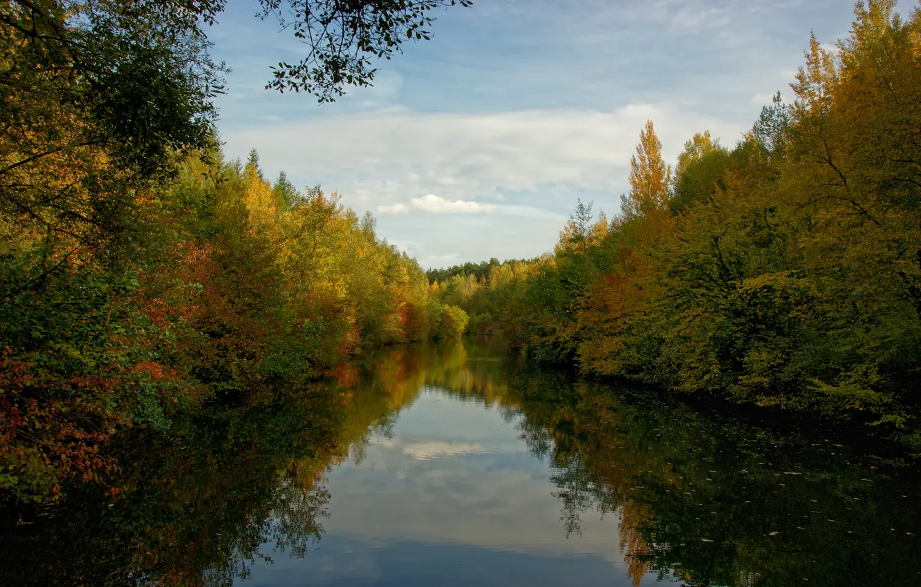 Photo wallpaper forest, water, clouds, trees