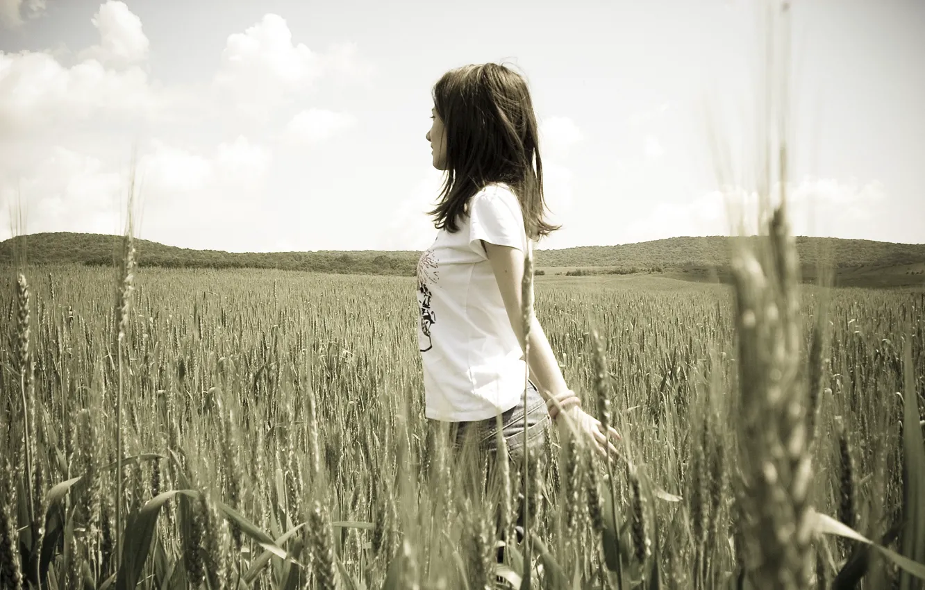 Photo wallpaper wheat, girl, nature, mood, rye, brunette, black and white