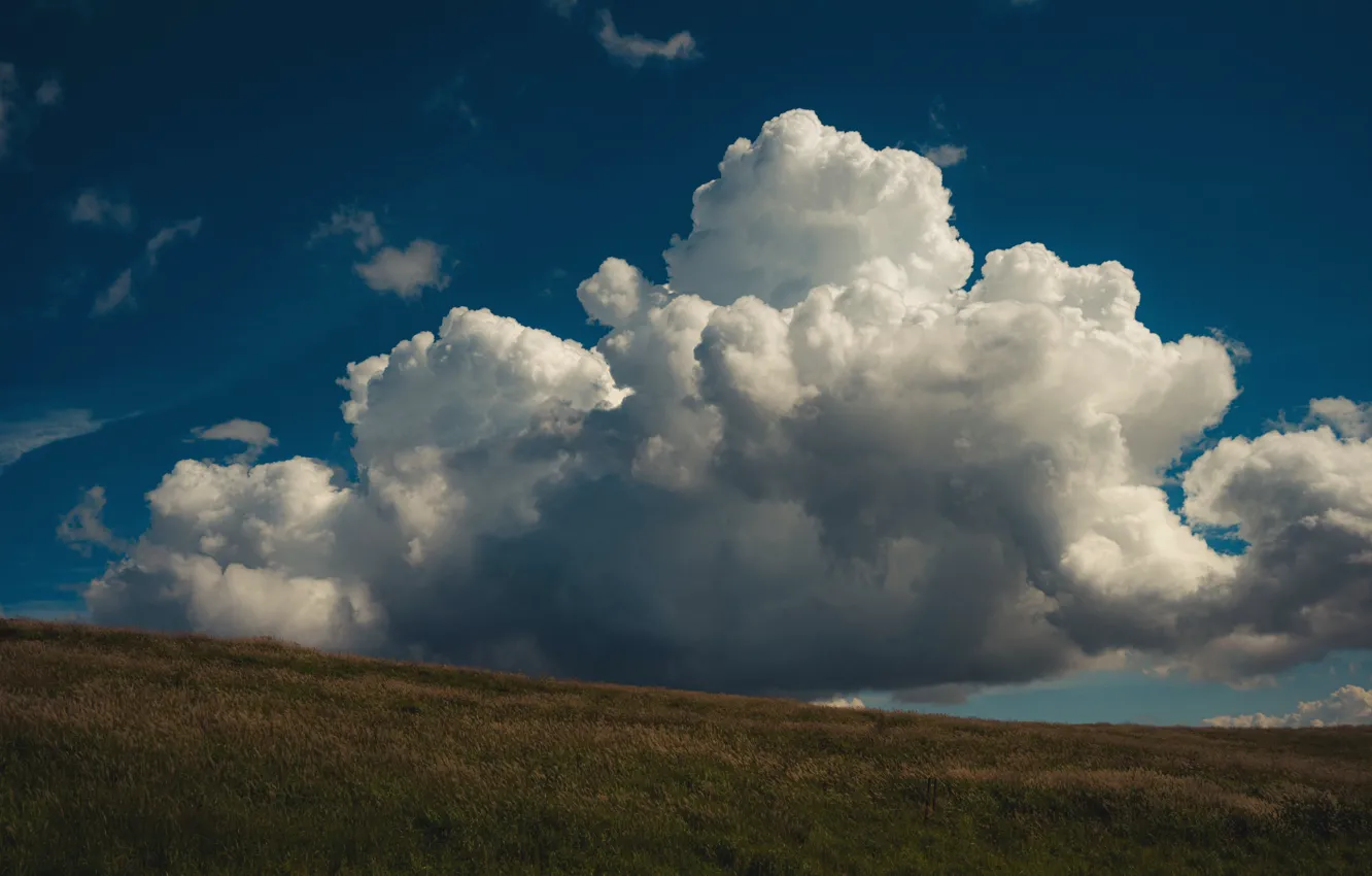 Photo wallpaper grass, sky, field, nature, clouds, Minimalism, natural light, Saturation