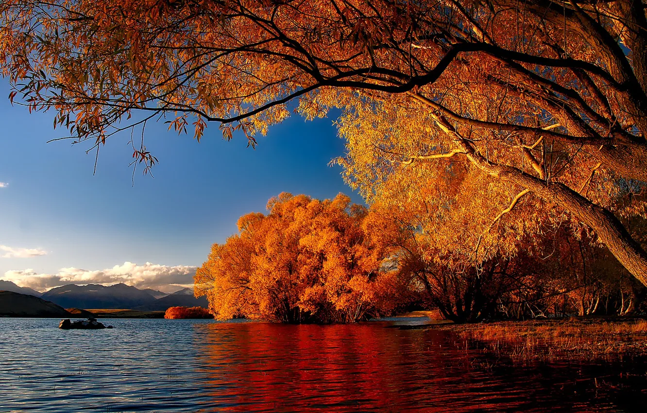 Photo wallpaper autumn, trees, lake