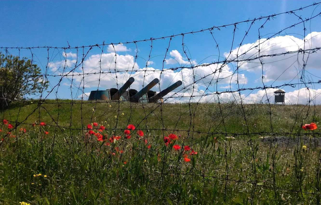 Photo wallpaper gun, barbed wire, abandoned area