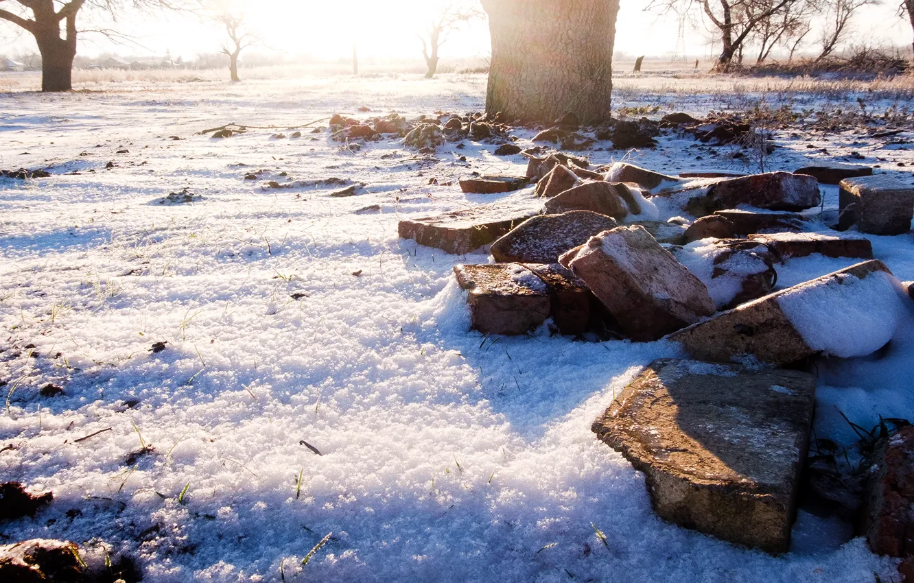 Photo wallpaper winter, the sun, snow, trees, dawn, foliage, brick, rays of light
