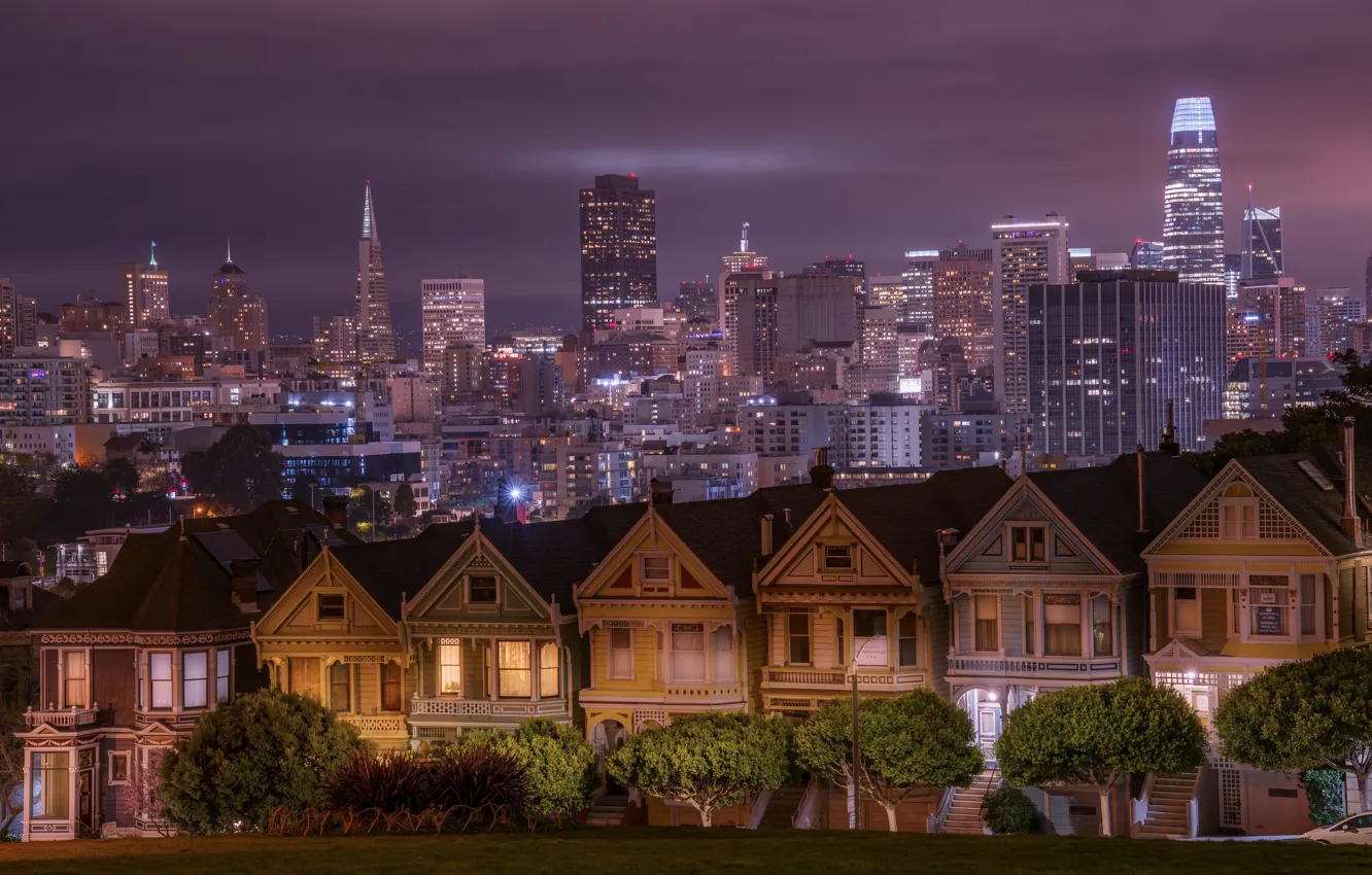 Photo wallpaper trees, building, home, CA, San Francisco, night city, skyscrapers, California