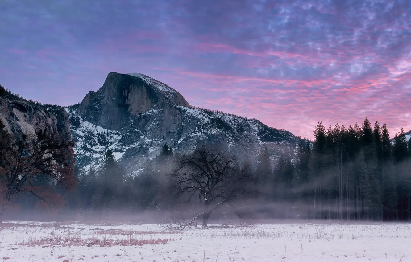 Photo wallpaper Yosemite, NATURE, WINTER, FOG
