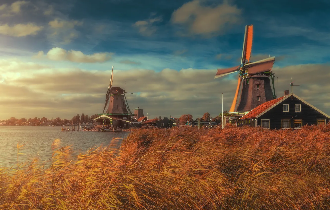 Photo wallpaper river, home, mill, reed, Netherlands, Netherlands, Zaanse Schans, The Zaanse Schans