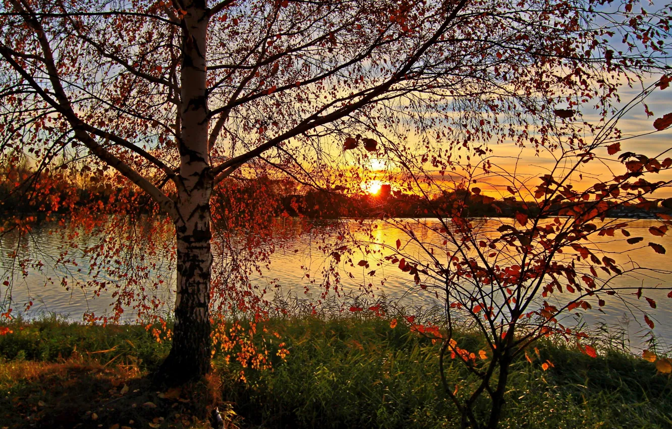 Photo wallpaper autumn, sunset, nature