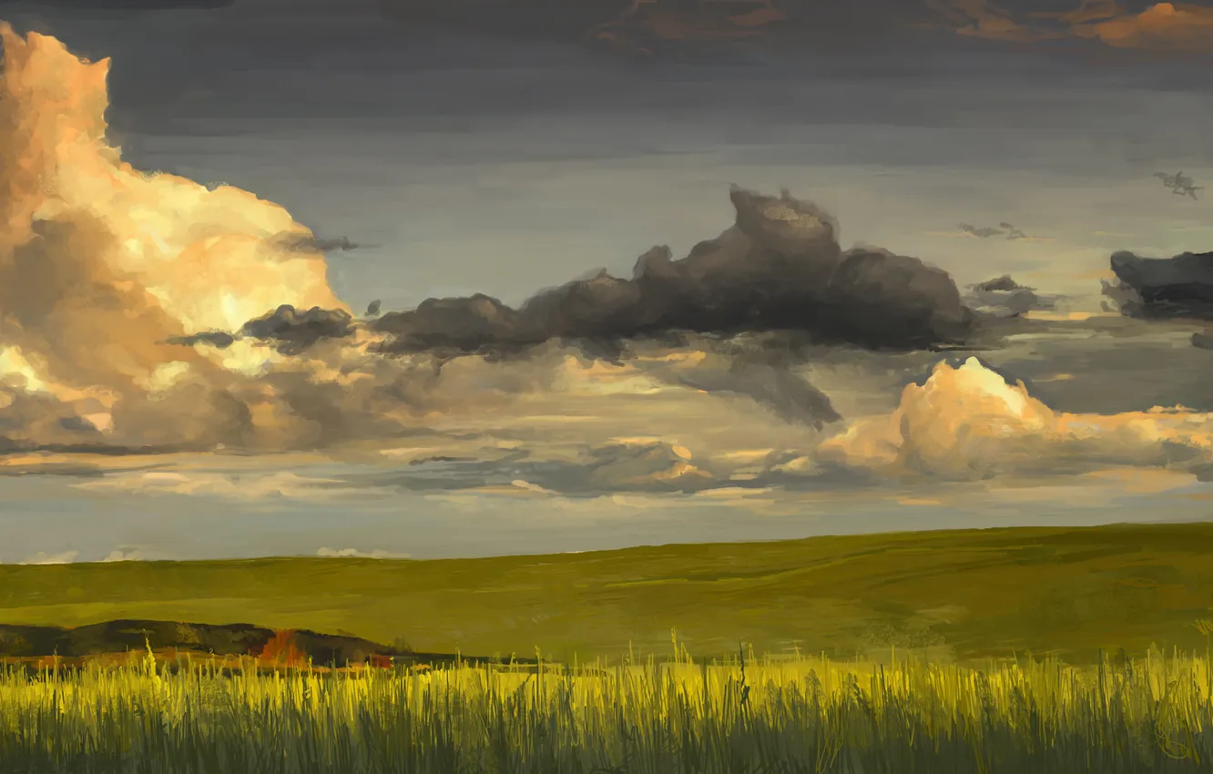 Photo wallpaper greens, field, grass, clouds, nature, horizon, art